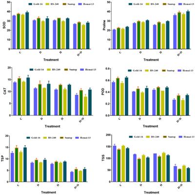 Physiomorphic and molecular-based evaluation of wheat germplasm under drought and heat stress